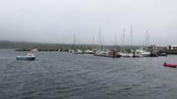 Dingle