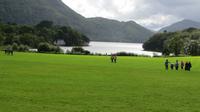 Muckross