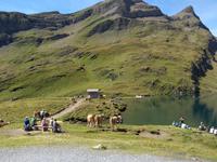 Grindelwald_Fahrt zum First und Wanderung zum Bachalpsee