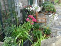 Vorgarten Haus in Sark