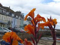 Hafen von Gorey