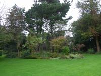 Privatgarten von Mr. Miles