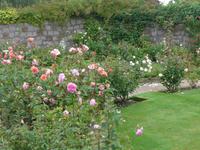 Privatgarten von Grey Gables Rosengarten