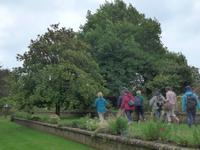 Privatgarten von Grey Gables