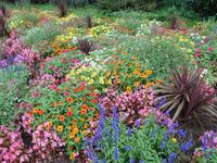 Weltvogelpark Walsrode