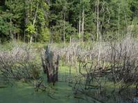 Auf der Fahrt nach Zondern