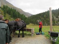 0070 Glacier-Bernina-Express- Kutschfahrt ins Val Roseg - Blick zum Roseg-Gletscher