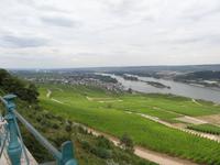 Blick vom Niederwalddenkmal