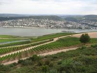 Blick vom Niederwalddenkmal