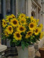 033_Salisbury