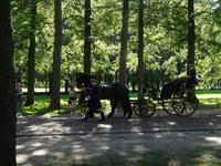 Palais Het Loo Apeldoorn, Parade