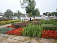 Bepflanzung am Hafen der Stadt