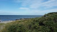 Strand auf der Insel Hiddensee