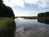 am Herrenhaus Mežotne 