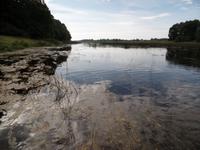 am Herrenhaus Mežotne 