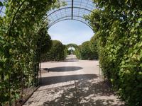 Schlosspark von Schloss Rundale