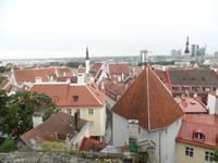 Altstadt von Tallinn
