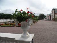 Schloss Kadriorg in Tallinn