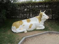 Emmentaler Schaukäserei Affoltern