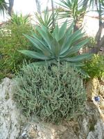 Man konnte sich deswegen gar nicht so recht entscheiden, wo man zuerst hingucken sollte.