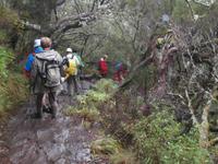 Wanderung zu den 25 Quellen im Tal von Rabacal