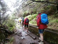 Wanderung zu den 25 Quellen im Tal von Rabacal