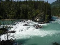 Letze Huerde der Lachse im Fraser River