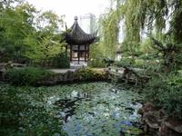 im chinesishen Garten