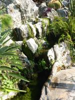 Auch am Wegrand lief das ein oder andere Wässerchen die Klippe hinab.