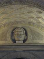 IMG_8653
