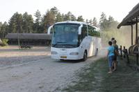 6. Tag: Vormittag Freizeit - Nachmittag Pferdekutschfahrt und Reitershow im Hotel Varga Tanya