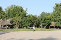 6. Tag: Vormittag Freizeit - Nachmittag Pferdekutschfahrt und Reitershow im Hotel Varga Tanya