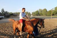 6. Tag: Vormittag Freizeit - Nachmittag Pferdekutschfahrt und Reitershow im Hotel Varga Tanya