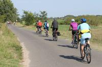 7. Tag: Radtour durch die Puszta anschließend Stadtbesichtigung in Kecskemet und Besuch der Therme in Cegled 