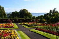0344 Insel Bute, Ardencraig Garden