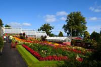 0345 Insel Bute, Ardencraig Garden