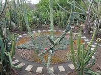 Botanischer Garten von Funchal 