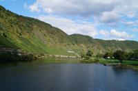 Steillagen der Mosel 