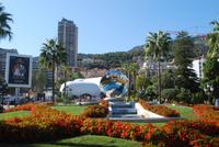 071. Monte-Carlo