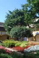 100. Hotel Dieu Arles