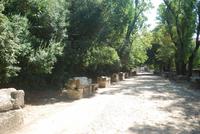 105. Alyscamps Arles