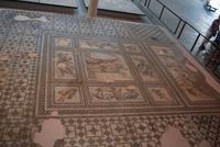 134. Antikes Museum Arles