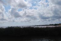 158. Camargue