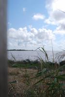 161. Camargue