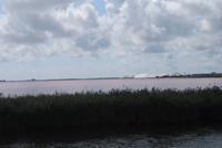 163. Salzgärten bei Aigues-Mortes