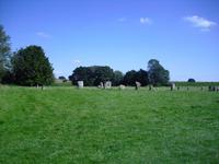 Ring von Avebury
