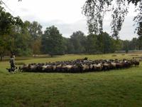 Landschaftsschutzgebiet Höpen (