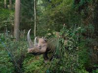 Serengeti-Park Hodenhagen (Dschungel-Safari)