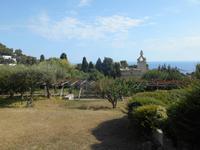 Insel Capri (Karthäuserkloster)