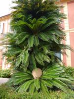 Santa Margherita Villa Durazo